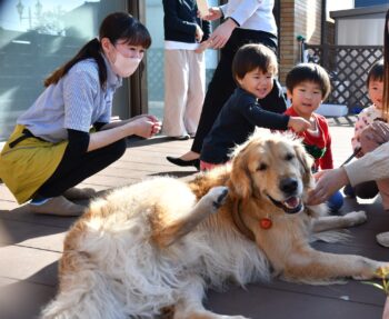 てくてく保育園　動物介在